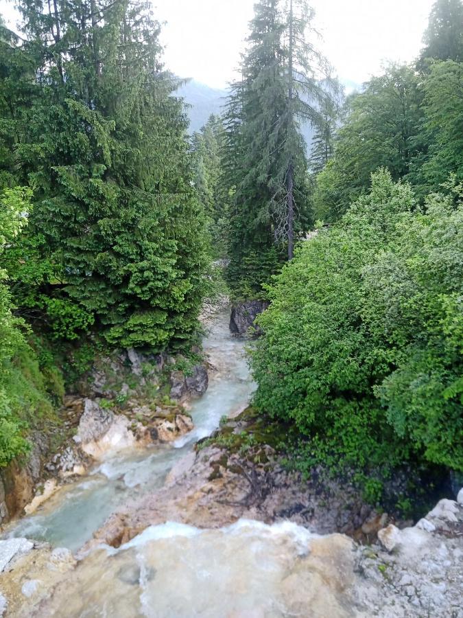 Gorski Biser Mojstrana Eksteriør bilde